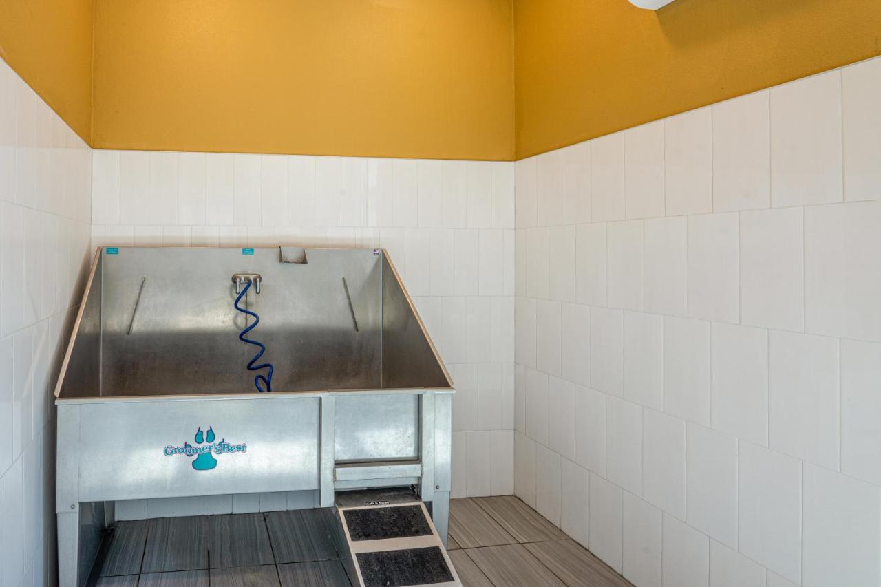 Luxe 3B/2B Getaway - Pool, Gym, Parking, Pet Wash Daire Leander Dış mekan fotoğraf